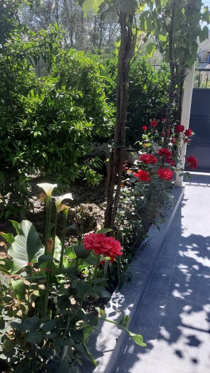 Um jardim no exterior de Guest House Emi