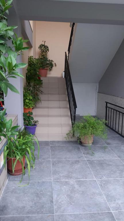Um jardim no exterior de Guest House Emi