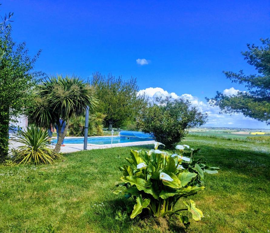 une plante dans l'herbe à côté d'une piscine dans l'établissement Les Roses Tremieres, à Saint-Fort-sur-Gironde