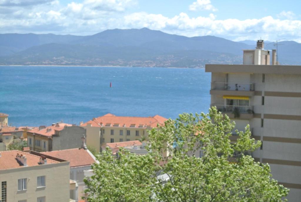 Adonis Ajaccio - Hôtel Albion