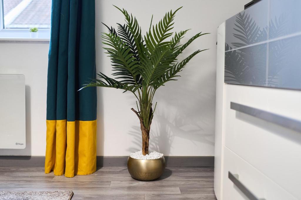 Φωτογραφία από το άλμπουμ του Appartement proche centre ville - 1 a 4 personnes σε Ρενς