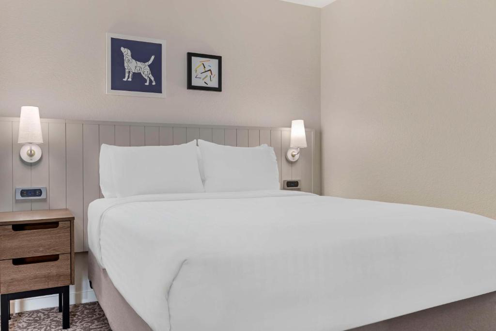 Sonesta ES Suites Torrance Redondo Beach - One-Bedroom Queen Suite