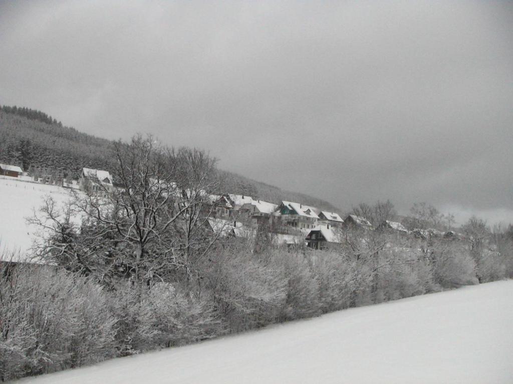 Sonneneck v zimě