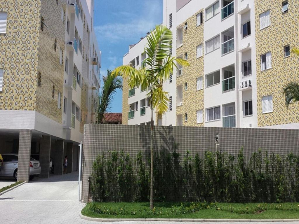 uma palmeira em frente a uma parede de tijolos em frente a edifícios em Apartamento Avenida Wilson em Ubatuba