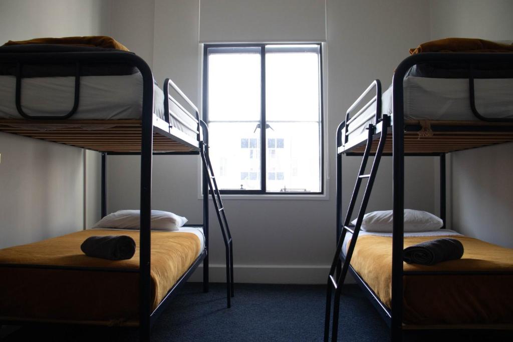 Tuatara Lodge - Resim 20