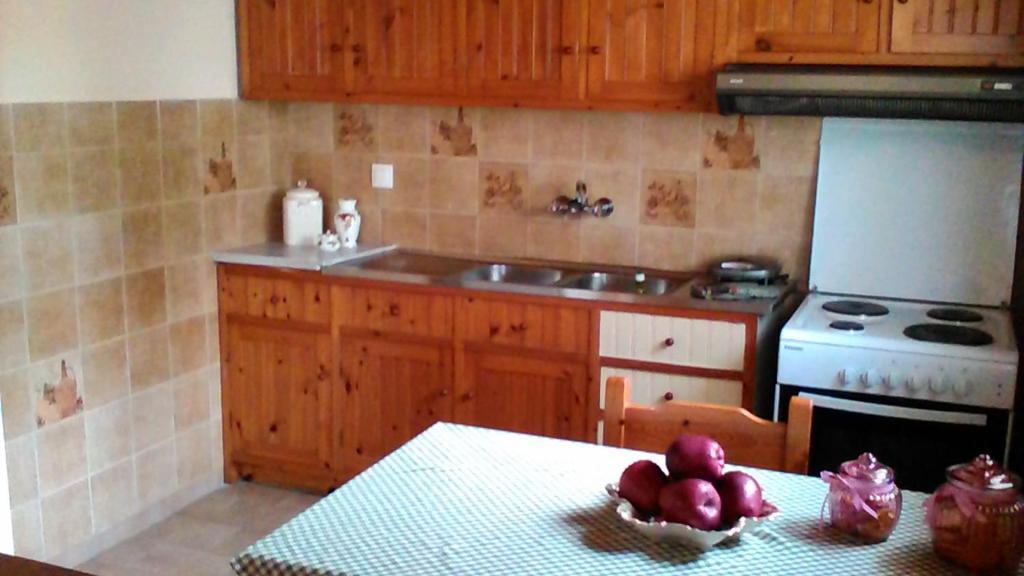 Kuchyň nebo kuchyňský kout v ubytování Gorgona apartments & studios