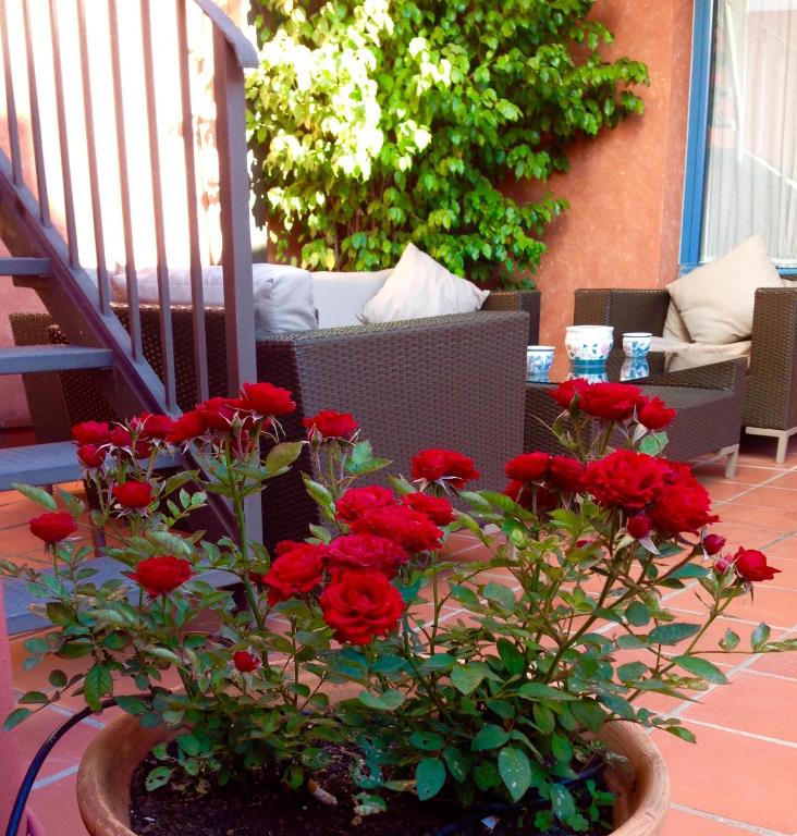 A garden outside Hotel Conde de Cárdenas