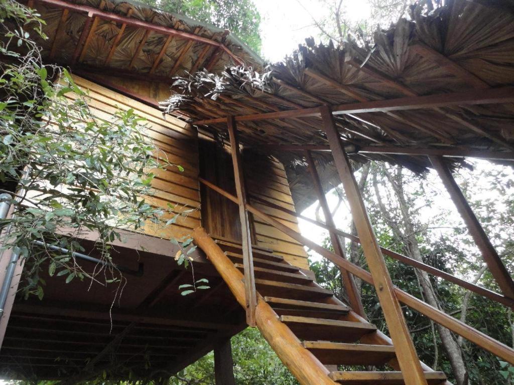 Fotografie z fotogalerie ubytování Inn On The Tree v destinaci Kibissa