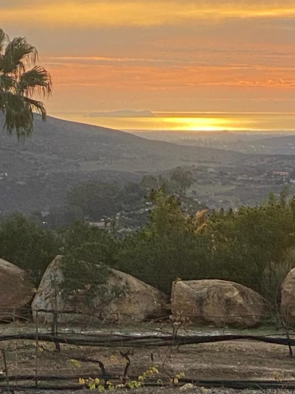 Příroda nedaleko prázdninového areálu