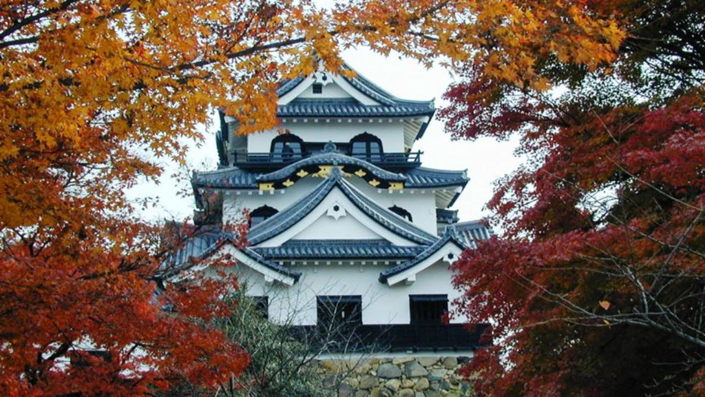 Fotografie z fotogalerie ubytování Toyoko Inn Hikone eki Higashi guchi v destinaci Hikone