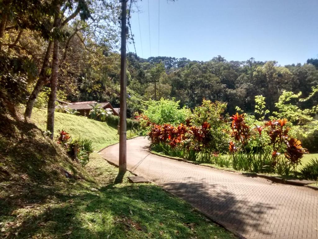  Casa do Bosque