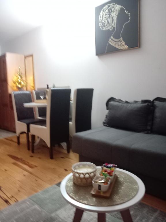 a living room with a couch and a table at Simic Apartmani Tara in Kaludjerske Bare