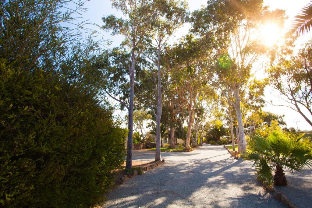 a path through a park with trees and the sun at Modra's Apartments in Tumby Bay