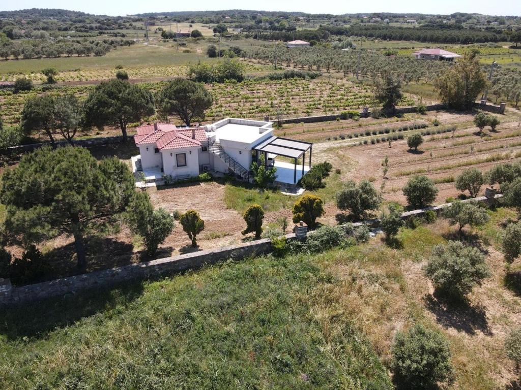 una vista aerea di una casa in un campo di Bozcada Aden Vineyard a Bozcaada