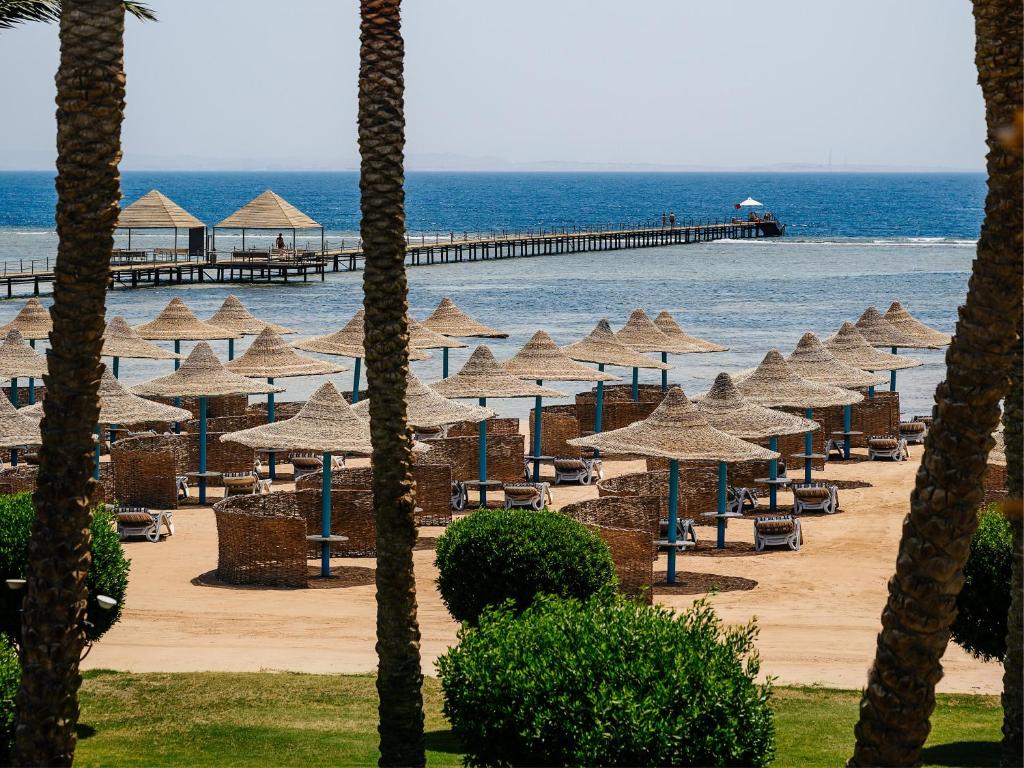TUI MAGIC LIFE Redsina Sharm El Sheikh - 12
