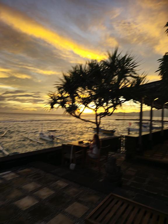 a palm tree in front of the ocean at sunset at Alam Candi Resort in Candidasa