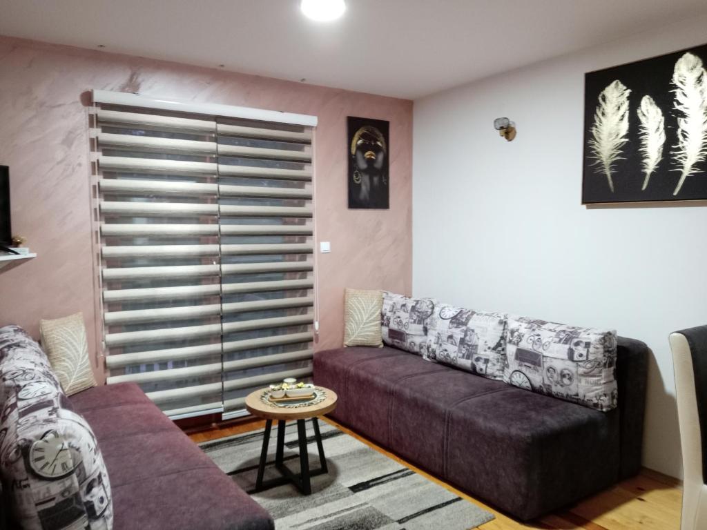 a living room with a couch and a table at Simic Apartmani Tara in Kaludjerske Bare