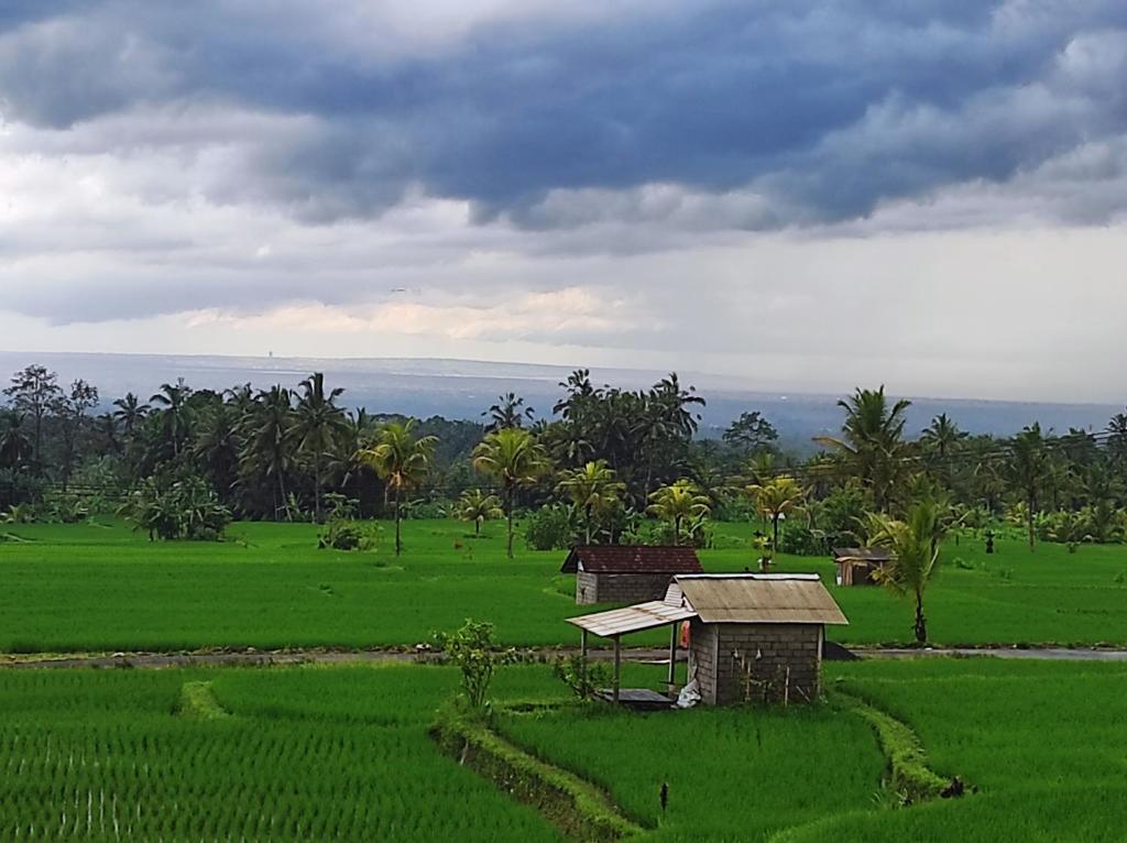 Φυσικό τοπίο κοντά σε αυτό το bed & breakfast