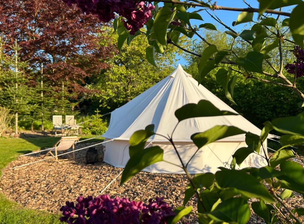 Zahrada ubytování Cozy Garden Glamping