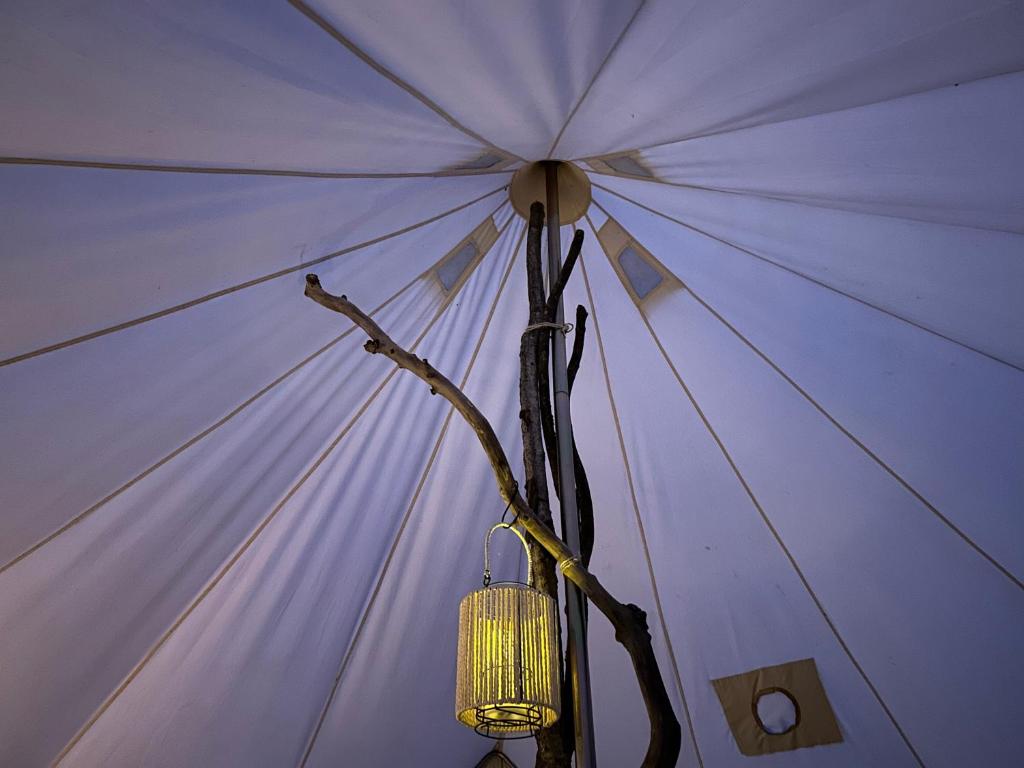 Fotografie z fotogalerie ubytování Cozy Garden Glamping v destinaci Svendborg