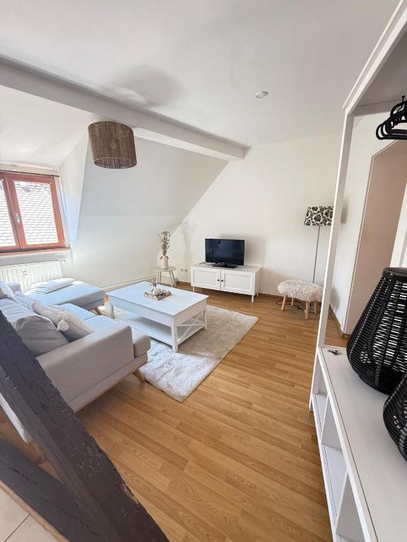 un salon avec un canapé et une table dans l'établissement Charme et Confort, plein centre, à Obernai