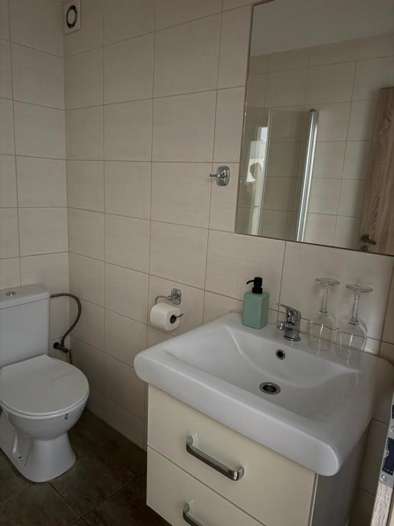 A bathroom at Ubytovanie Janka