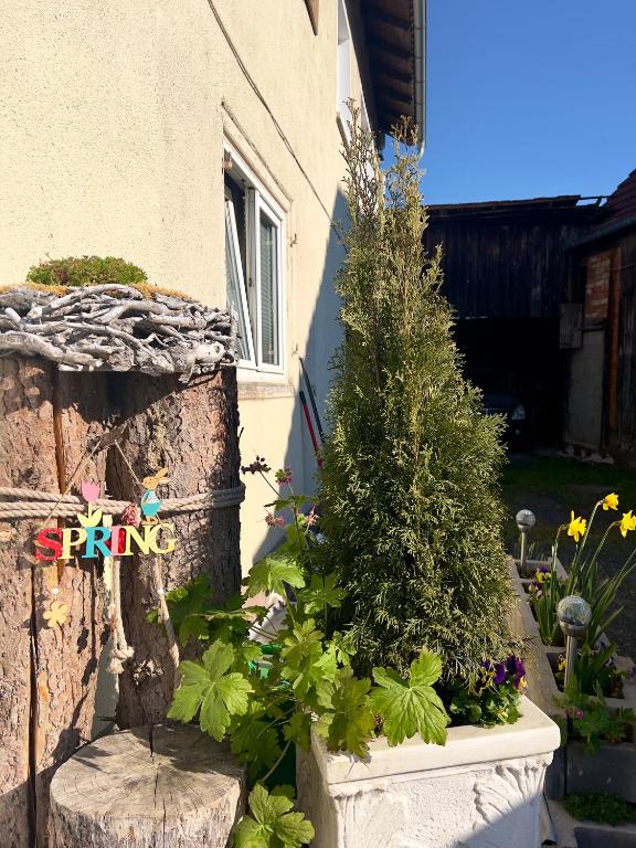 Zahrada ubytování Handwerkswohnung Nova