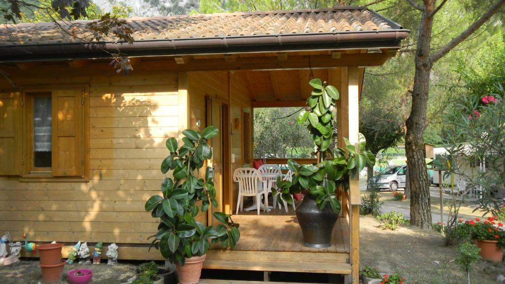 Zahrada ubytování Camping Daino