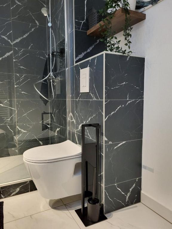 Lambert City Appartement Centre Mulhouse – photo 16