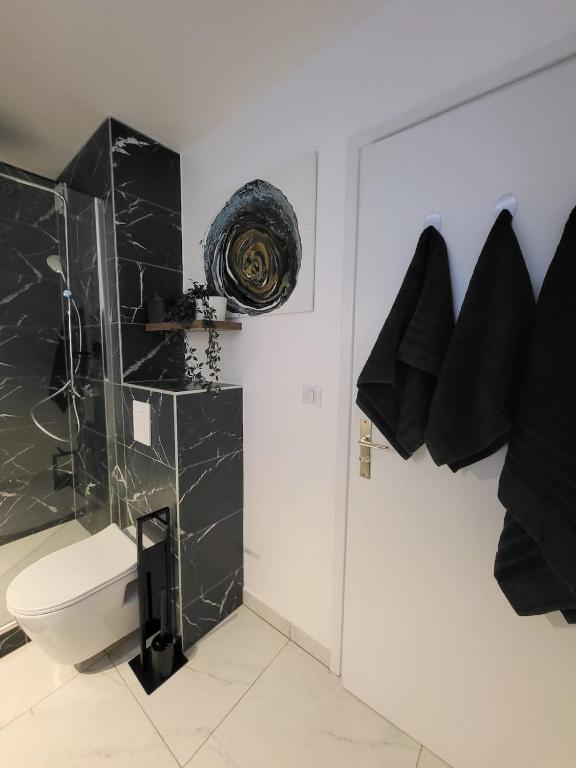 Lambert City Appartement Centre Mulhouse – photo 17
