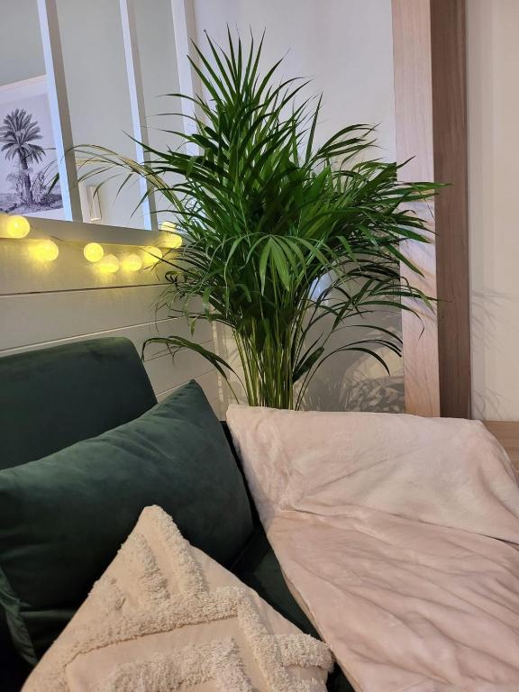 Lambert City Appartement Centre Mulhouse – photo 20