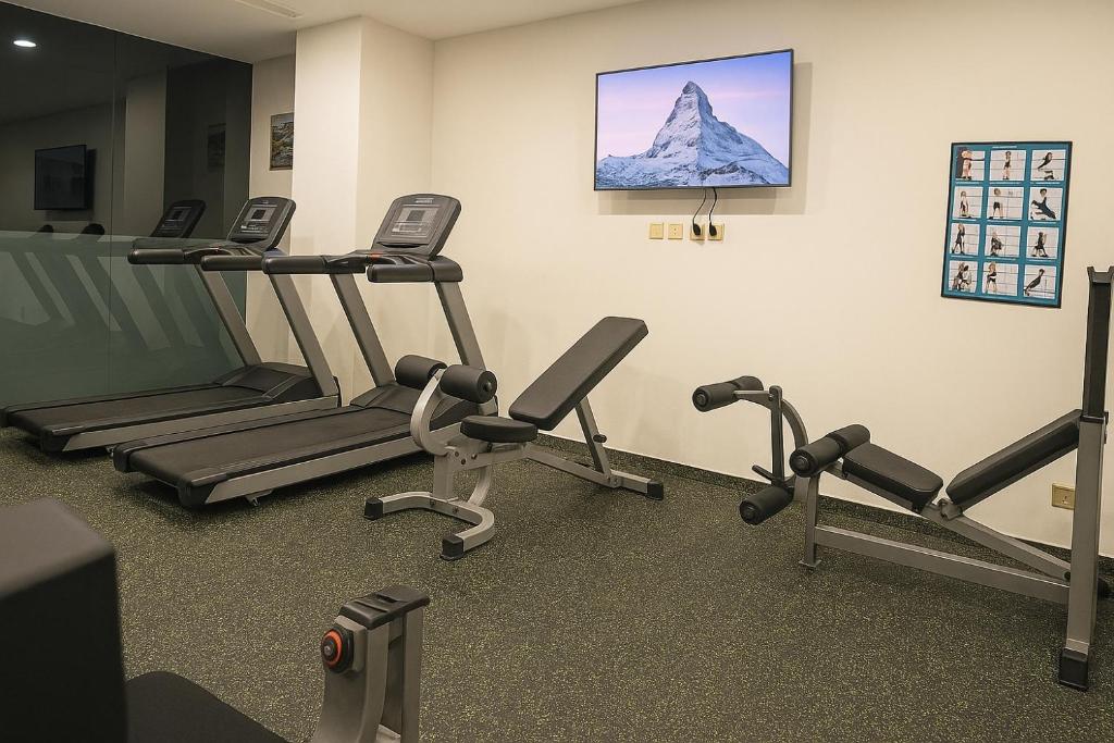 Palestra o centro fitness di Saraya Palace Hotel
