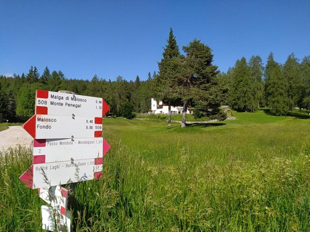 Příroda nedaleko apartmánu