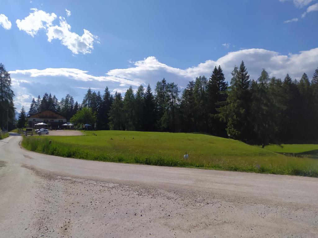 Příroda nedaleko apartmánu