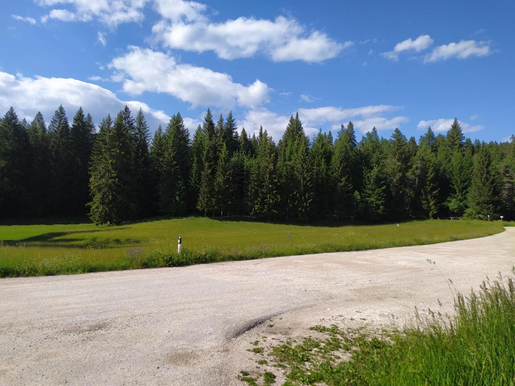Příroda nedaleko apartmánu