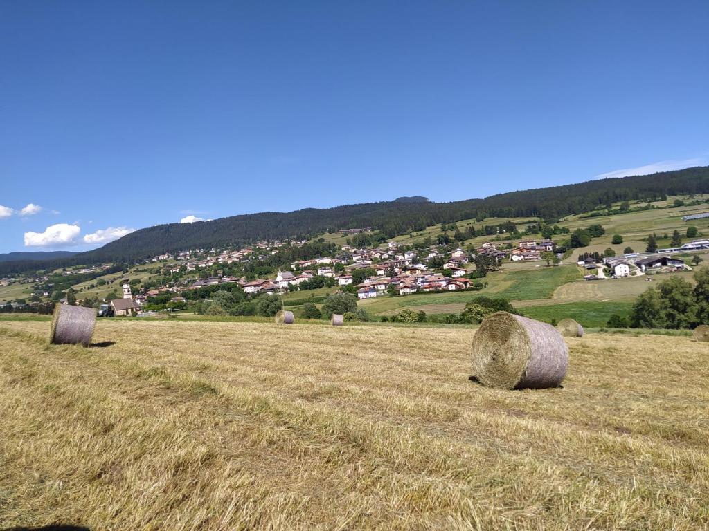 Příroda nedaleko apartmánu