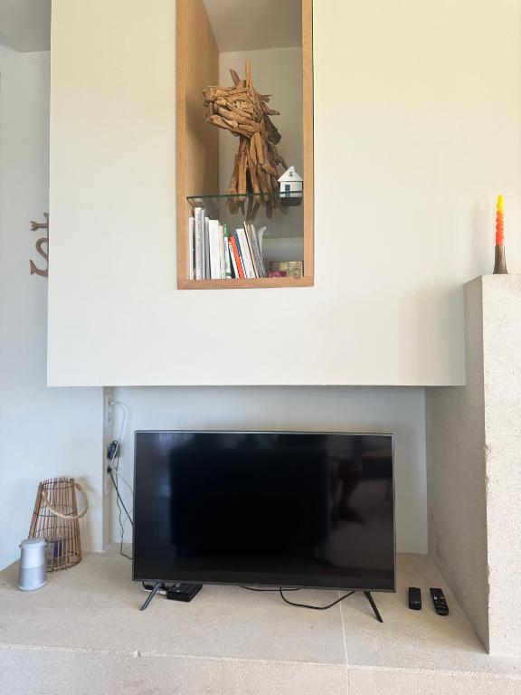 TV a/nebo společenská místnost v ubytování Mas du Couvin, maison d'hôtes en Camargue
