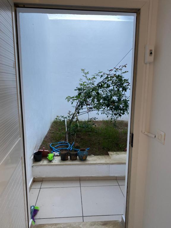 Zahrada ubytování Duplex El mansoura A0