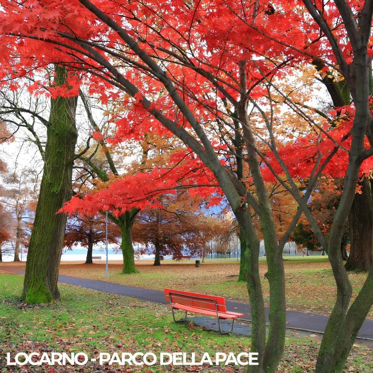 Locarno Center - Free Parking, Netflix and WiFi - Resim 45