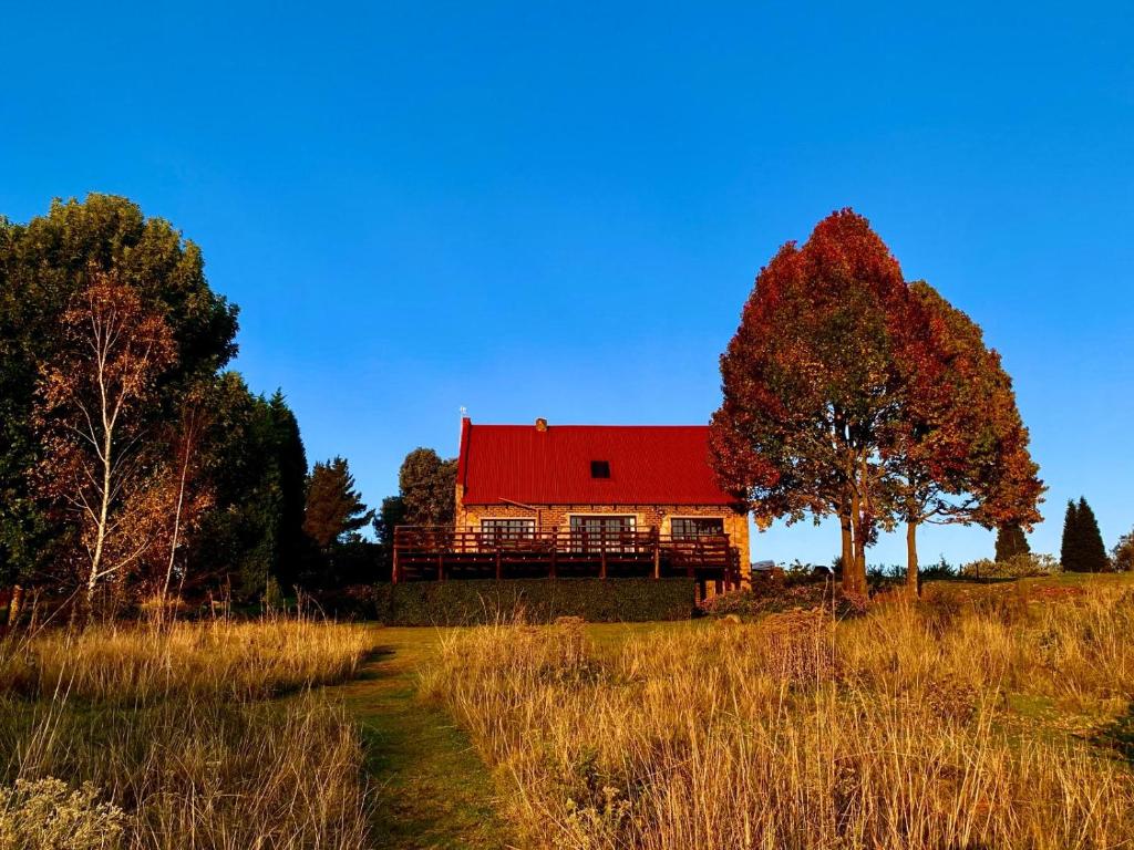 a house with a red roof in a field at Millstream Farm Cottages in Dullstroom
