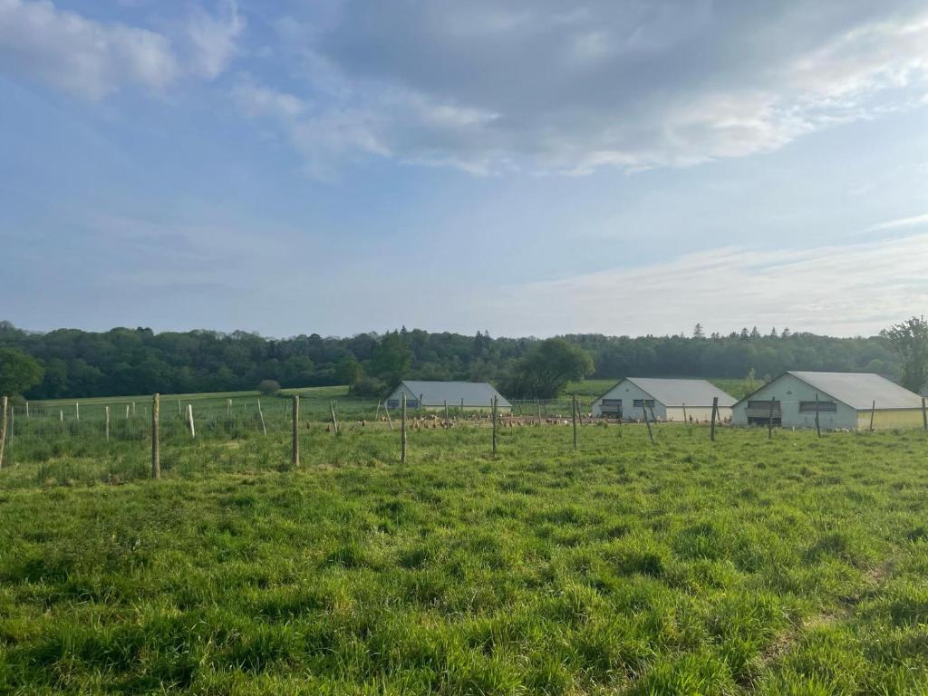 un campo de hierba con casas en el fondo en Gîte de penhaudan 3, en Pont-Scorff