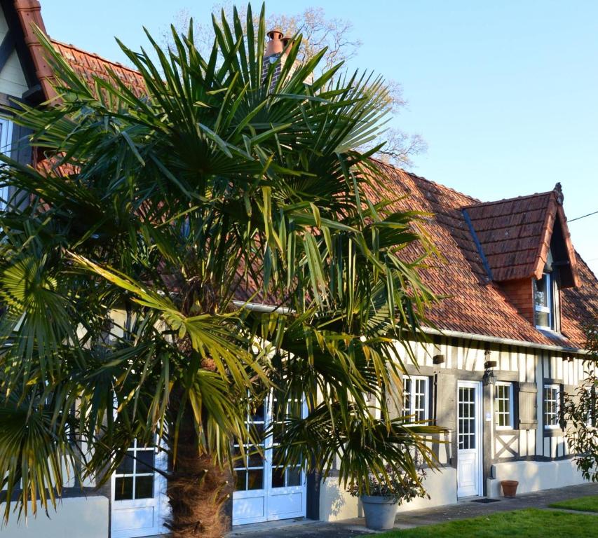 une maison avec un palmier devant dans l'établissement L'Orée des prés - Gîte de Charme - 3 étoiles, à Ouville-la-Rivière
