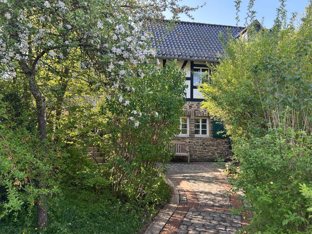 a house is seen through the trees in front at Architektur Ferienhaus Eifel SUITE14 in Bad Münstereifel