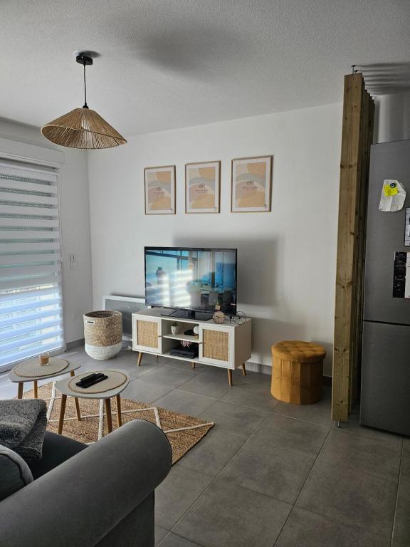 a living room with a couch and a television at Appartement porte des Alpilles in Arles