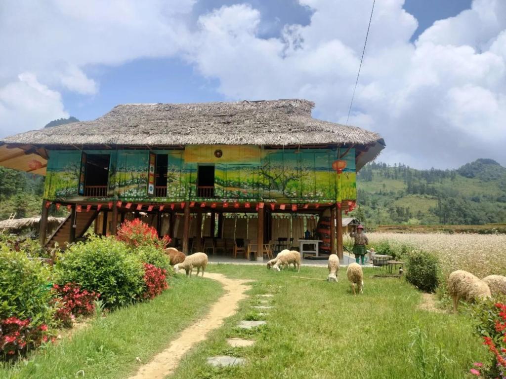 Imagen de la galería de Kale Farm Bắc Hà, en Lào Cai