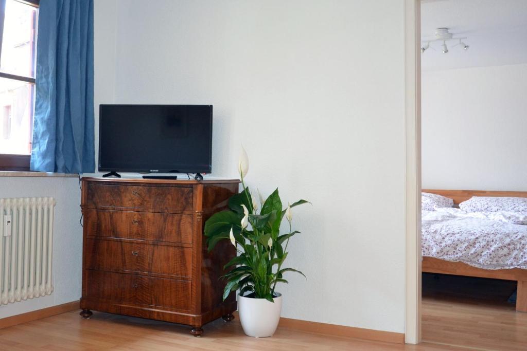 TV a/nebo společenská místnost v ubytování Ferienwohnung Sester