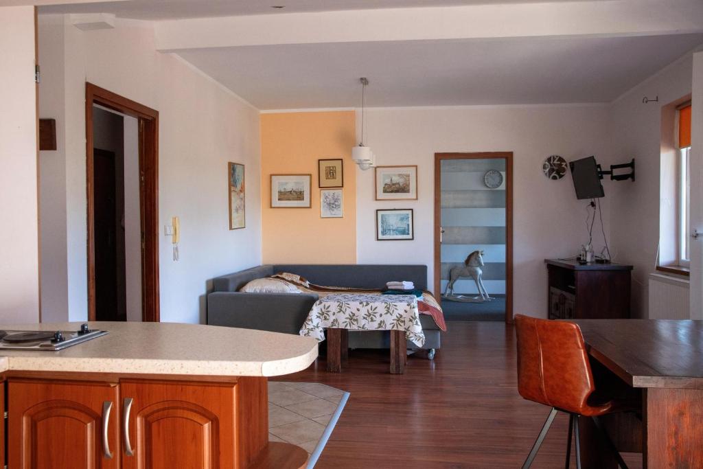 salon z kanapą i psem w tle w obiekcie Dom nad Wisła w Wiśle