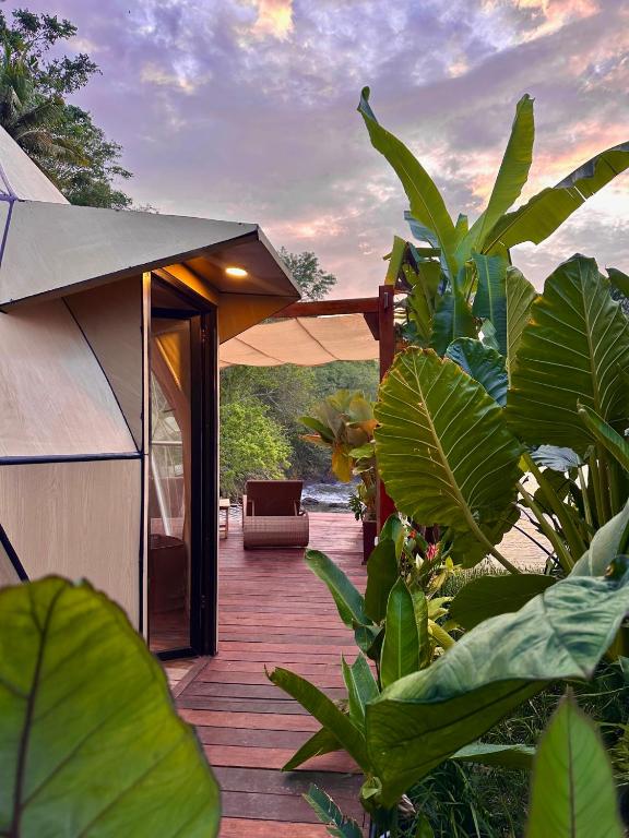 Beachfront Luxury Dome Villas - Gamat Bay Resort - Villa - Beach Front