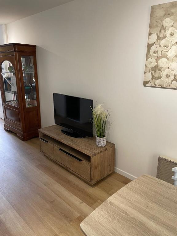 un salon avec une télévision à écran plat sur un support en bois dans l'établissement Le paisible F2 à 300 m du centre ville, à LʼHay-les-Roses