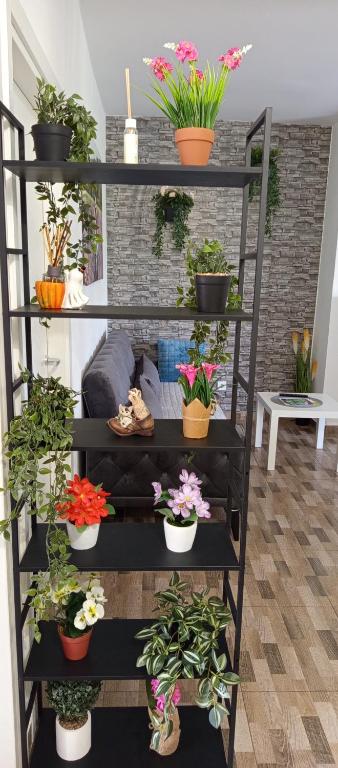 Fotografia z galérie ubytovania Apartmani Mirko Rovinj v Rovinj